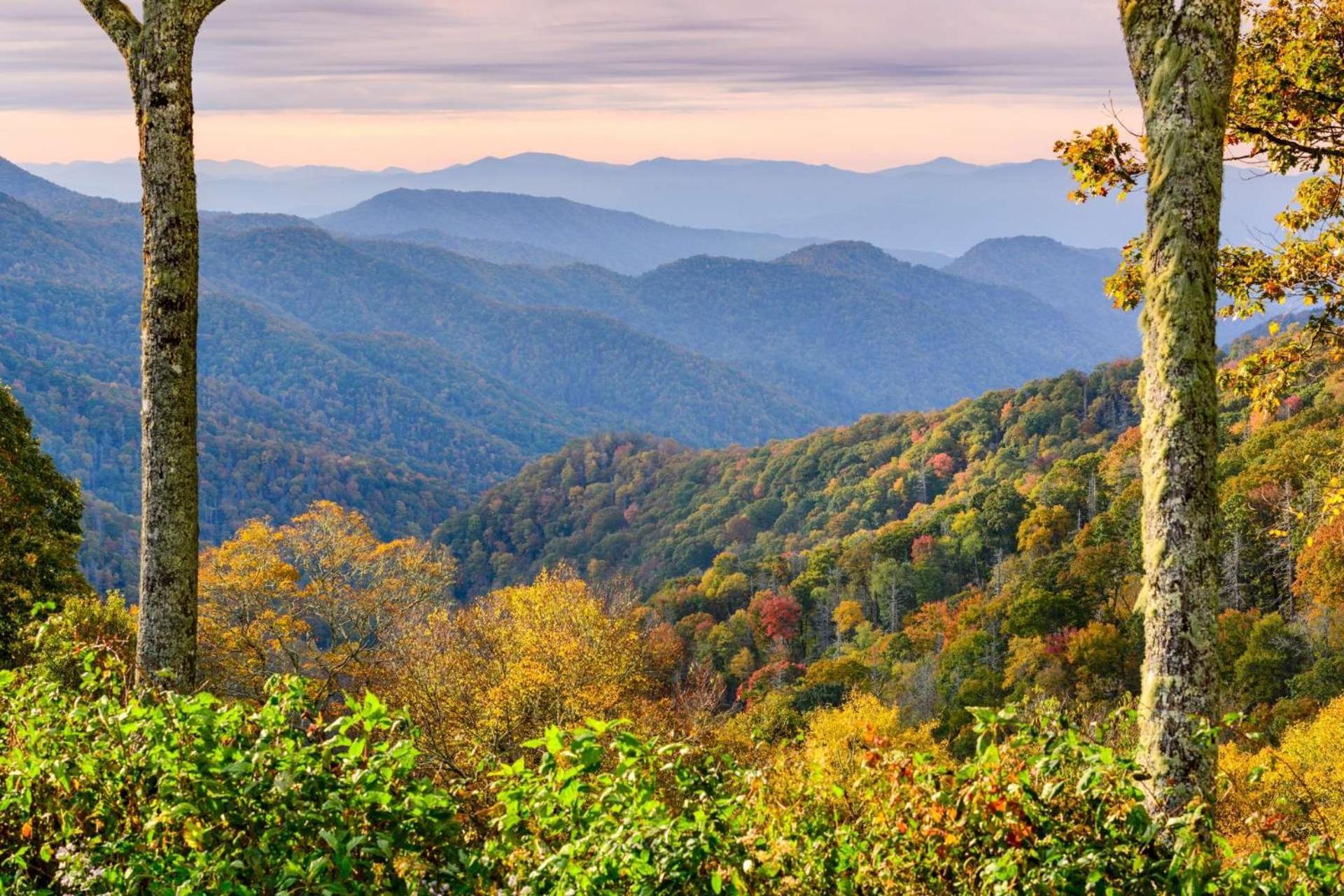 Mill Stream Pigeon Forge